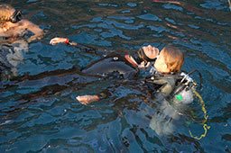 keep unconscious diver afloat