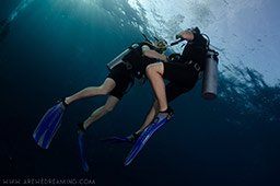 divers sharing air