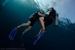 divers sharing air