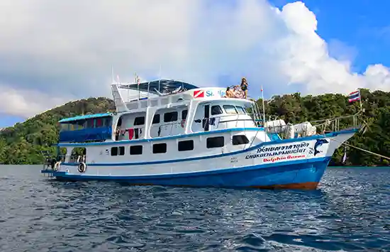 aerial view of Dolphin Queen